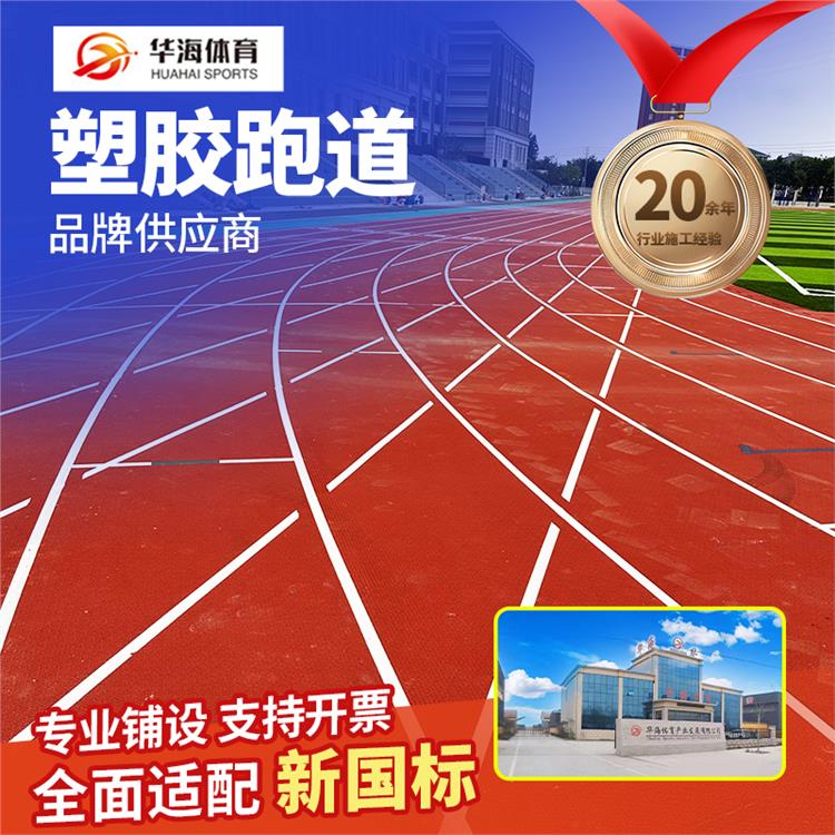 益阳市塑胶地面预制型橡胶跑道 - 厂家